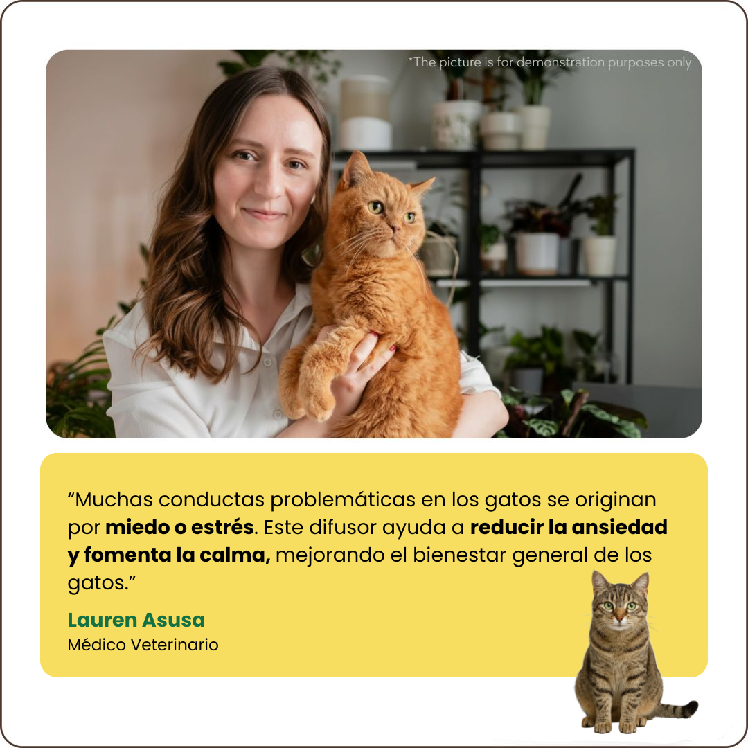 Kit Difusor Calmante para Gatos