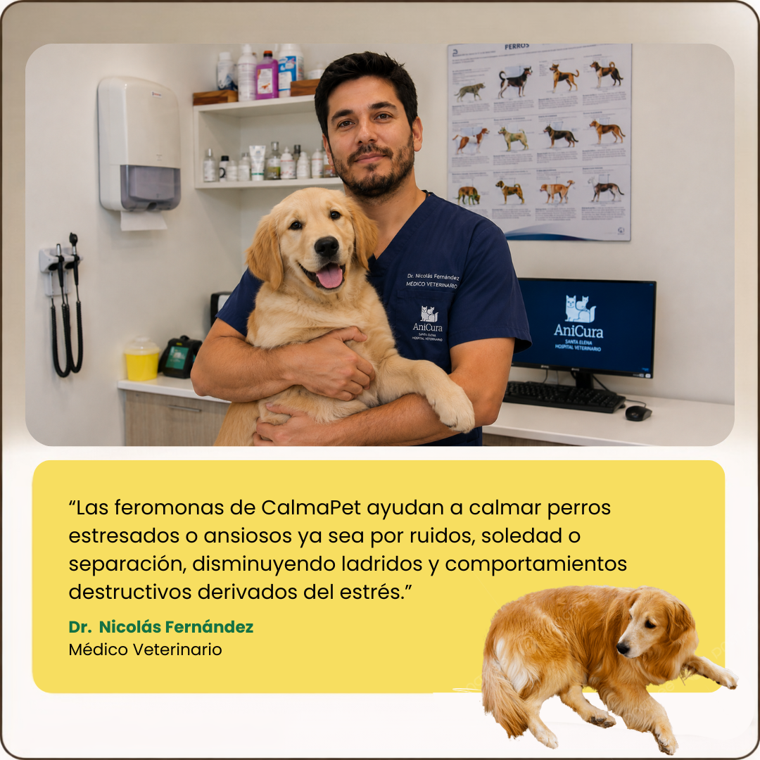 Kit Difusor Calmante para Perros
